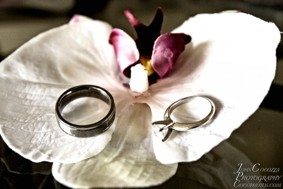 Photo 56 by John Cocozza Photography for Wedding Photography