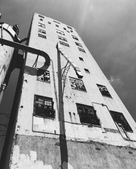 'BUNGE'
Abandoned Mill. 2016
Dinkytown, MN