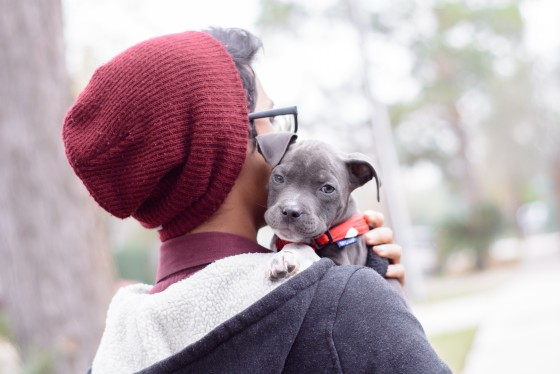 Photo 3 by for Pets and their Owners