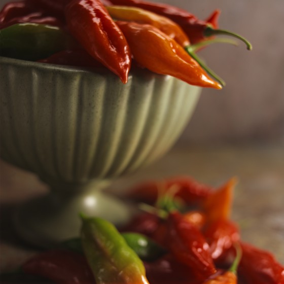 Food Editorial