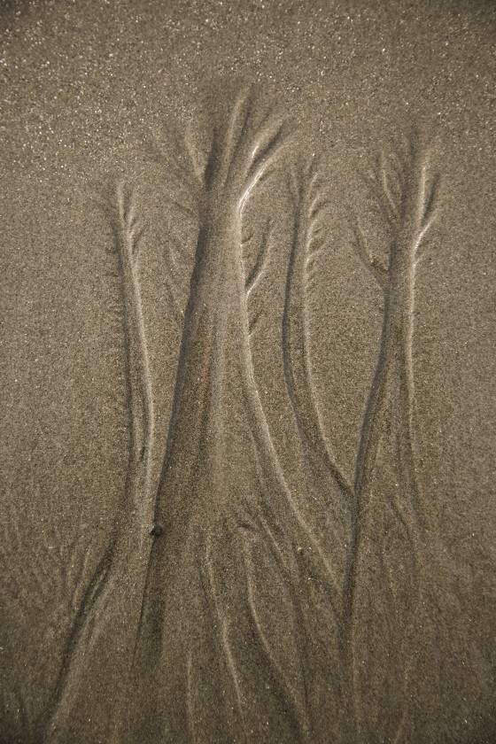 Photo 67 by Dan Minicucci for Personal Work