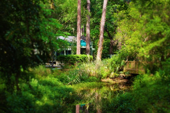 Photo 0 by True Vision Media for Nature