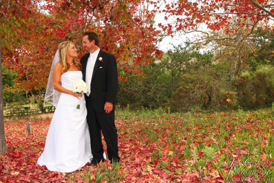 Photo 147 by John Cocozza Photography for Wedding Photography