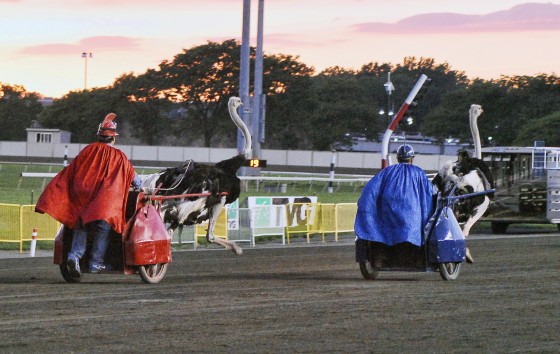 Photo 199 by Roy Caratozzolo for Sports Photography