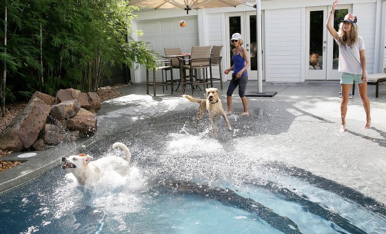 Photo 1 by Dinah L. Rogers for New Orleans Home and Garden