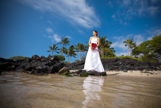 Photo 1 by Bob Brown for Wedding Photography