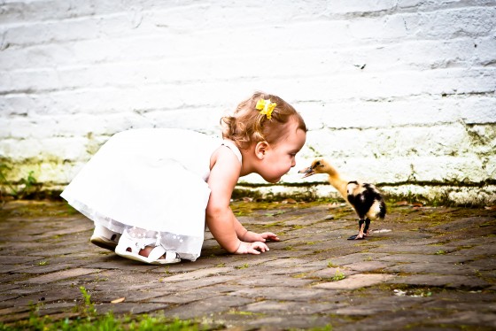 Photo 13 by Mally Hartenstein- Mally Photography for General Photography