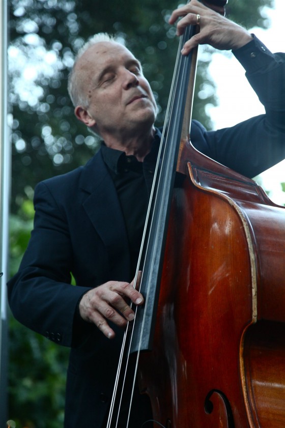 Bass Musician