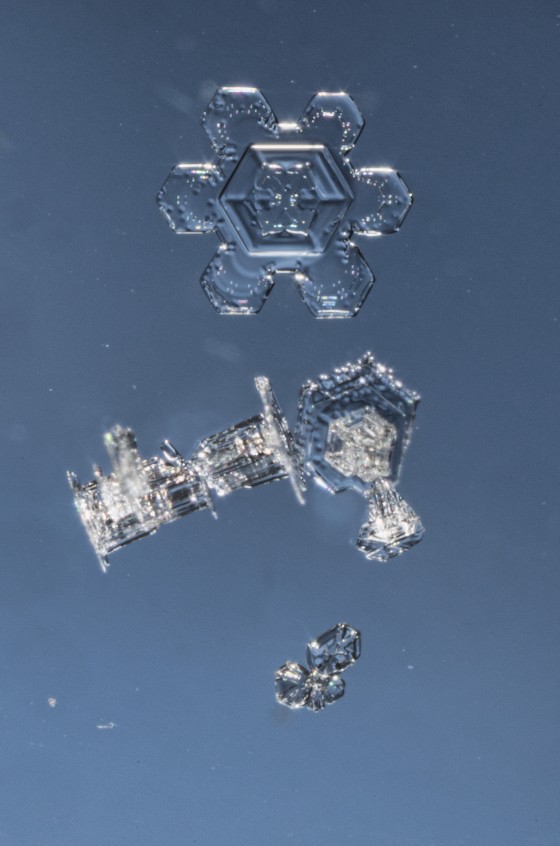 Snowflakes