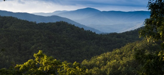 view from our cabin in the smokeys