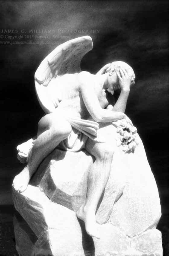 Male Angel
San Juan, Puerto RIco
Infrared Film, 2011