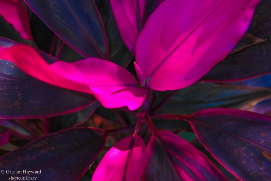 Photo 96 by Graham Hayward for General Photography