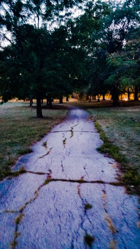 The Path