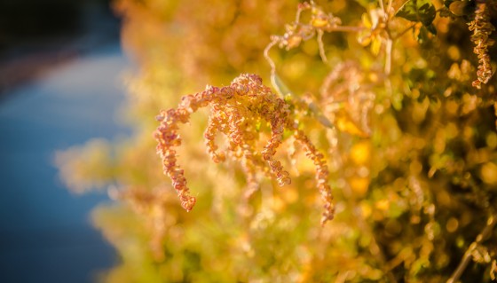 Photo 7 by Caslin for Nature