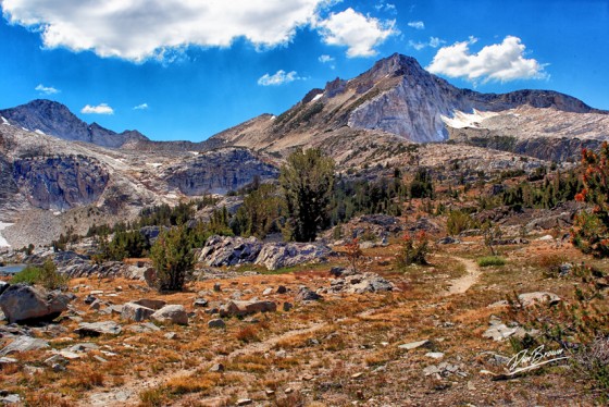 Saddleback
Yosemite
115