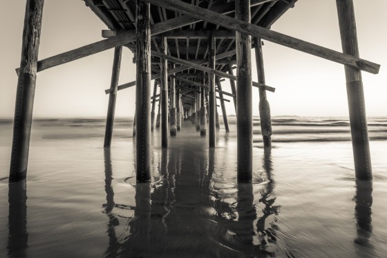 Photo 26 by Greg Hayes for Nature Photography