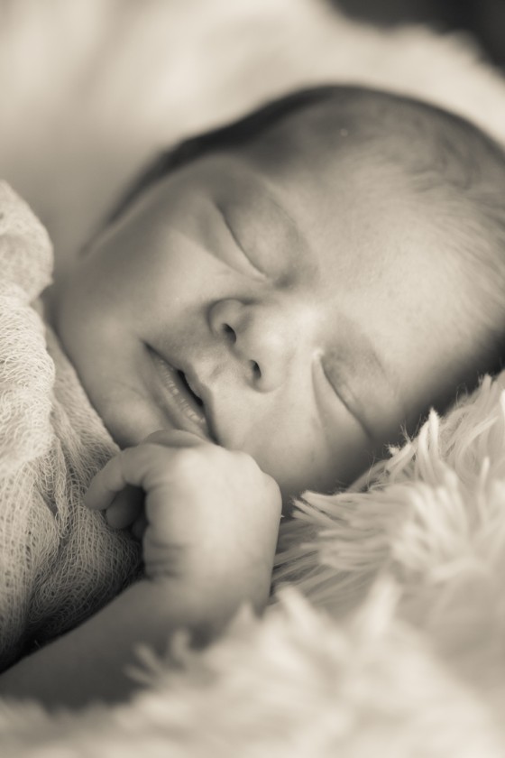 Photo 7 by Portraits by Shanti for Babies