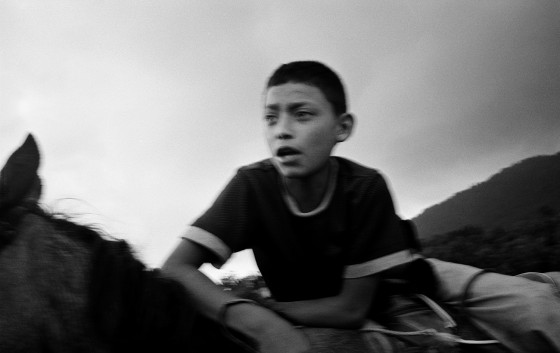 Photo 11 by Peter Arathoon for Photo Journalism