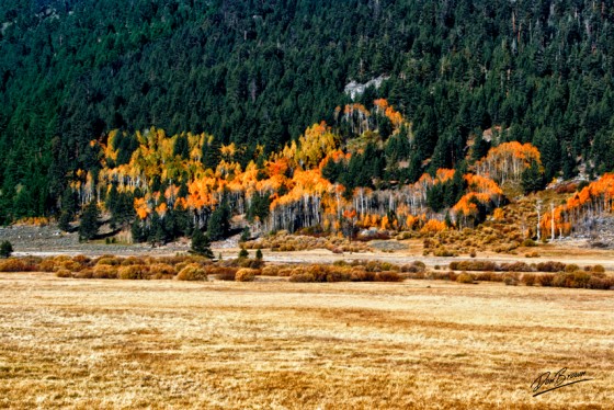 Hope Valley
Along the West Fork of Carson River Hiwy 88