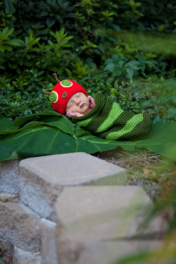 Photo 2 by Mally Hartenstein- Mally Photography for General Photography