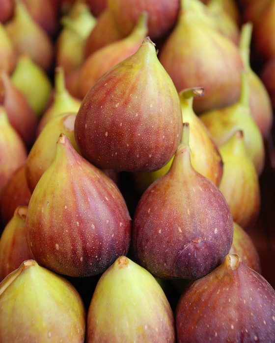 fresh figs