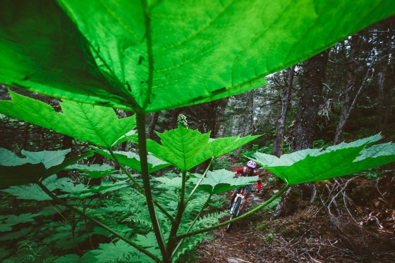 Photo 20 by Jay Goodrich Photographer Inc. for Summer