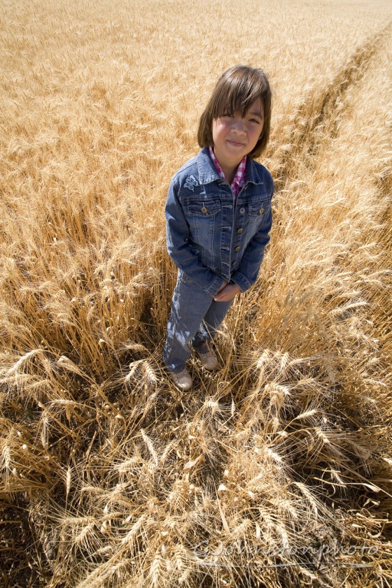 Standing in a wheat field.