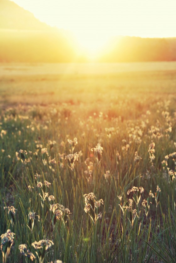 Photo 25 by Dream Lenz Photography for Mother nature