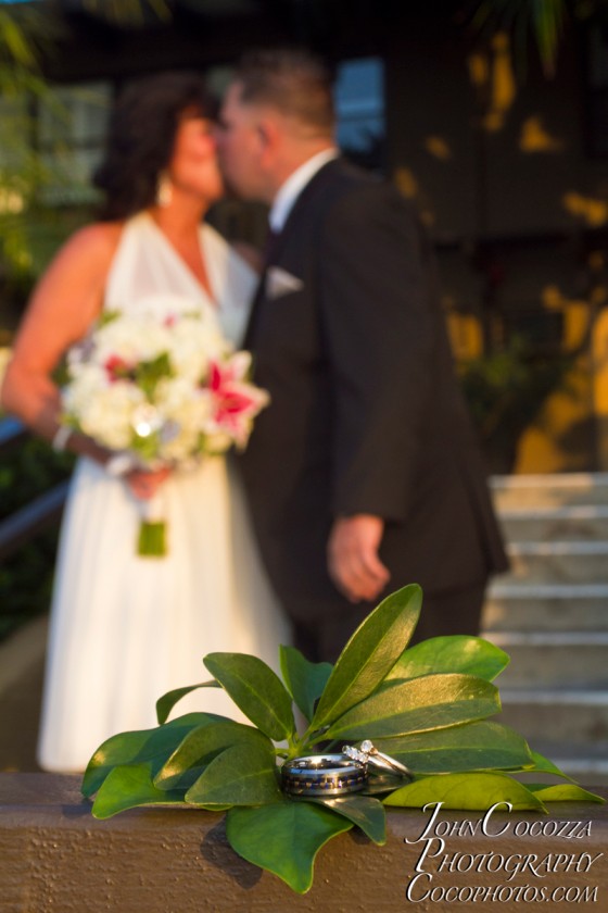 Photo 157 by John Cocozza Photography for Wedding Photography