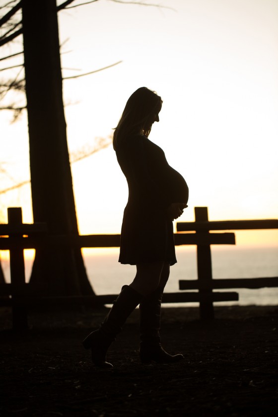 Photo 0 by Portraits by Shanti for Maternity Portraits