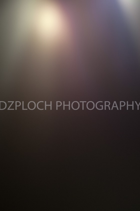 Photo 13 by Kyleen DzPloch for Fine Art Portfolio