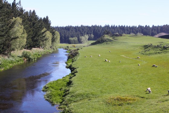New Zealand