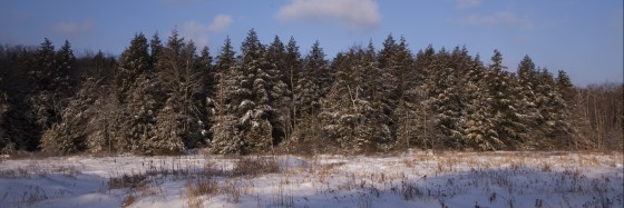 Photo 20 by Dan Minicucci for Panoramics