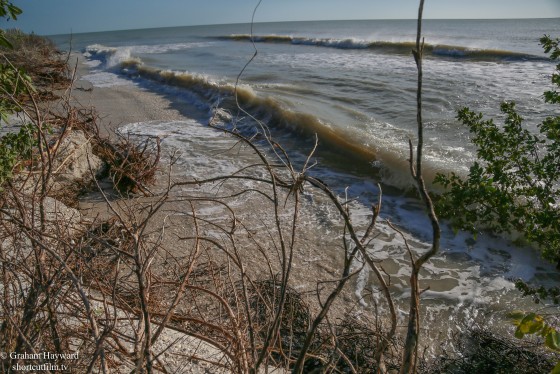 Windy February, Marco Island Florida
