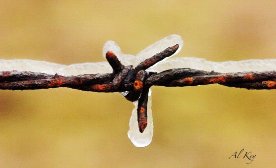 Photo 1 by Al Key Photography for Weather