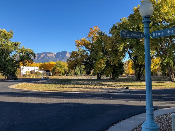 Plaza Vinedos