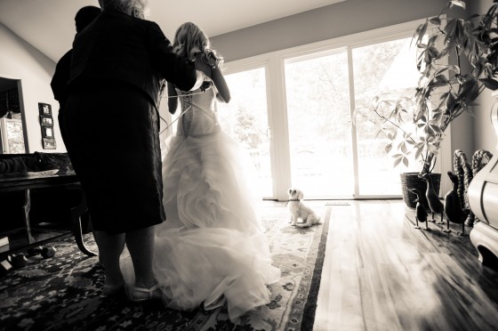 Photo 3 by Ellé Imaging for Wedding Photography