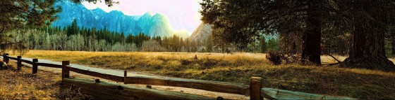 Yosemite Fields