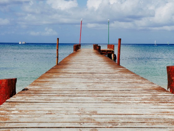MEXICO 2016 - BOAT DOCK ISLAND LIFE