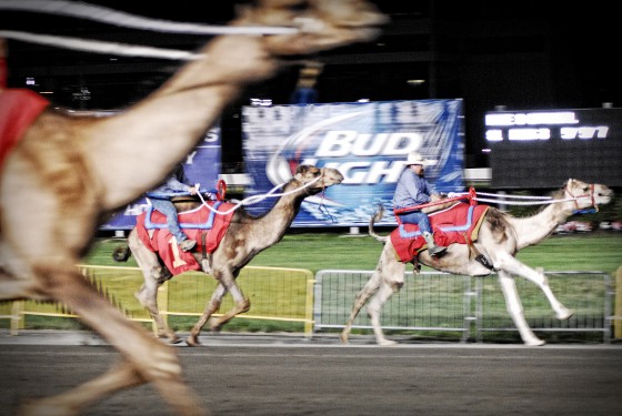 Photo 213 by Roy Caratozzolo for Sports Photography