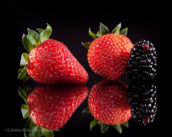 Photo 2 by Hidden Rock Ranch Photography for Still Life
