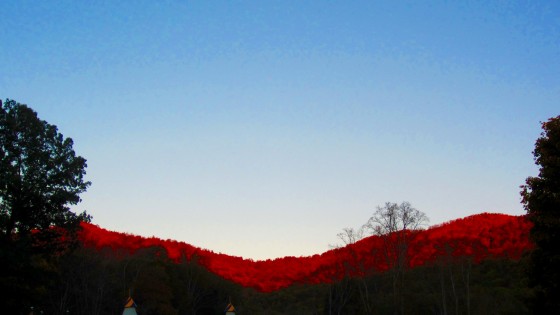 Photo 11 by Amy Jackson Karmalized Pictures for Interests