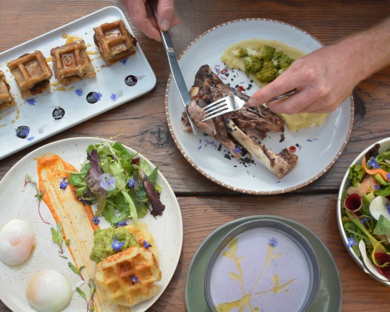 Berkeley Food Photographer