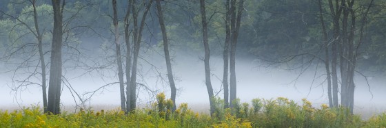 Photo 12 by Dan Minicucci for Panoramics
