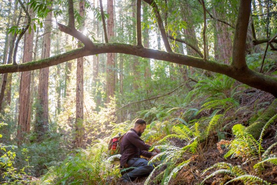 Photo 2 by Mat Rick Photography for Juniper Ridge