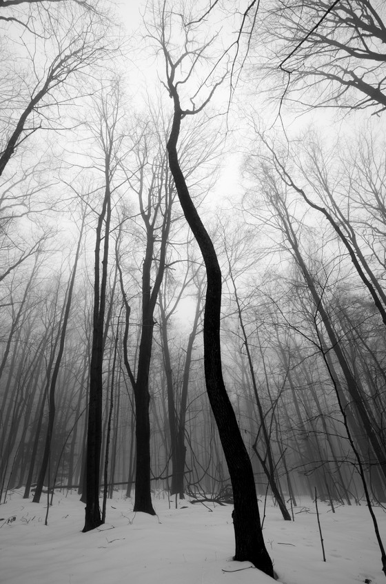 Photo 25 by Dan Minicucci for Personal Work