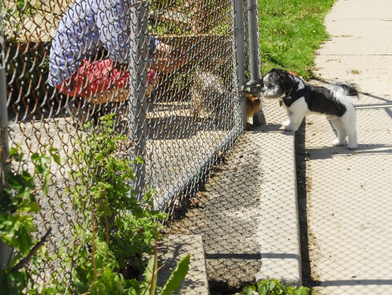 Photo 139 by Roy Caratozzolo for Photo Journalism