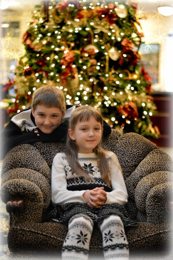 Family Christmas Shoot
