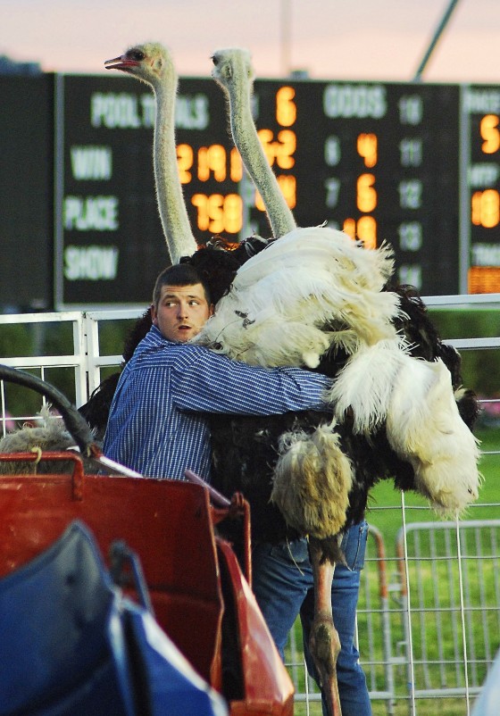 Photo 202 by Roy Caratozzolo for Sports Photography