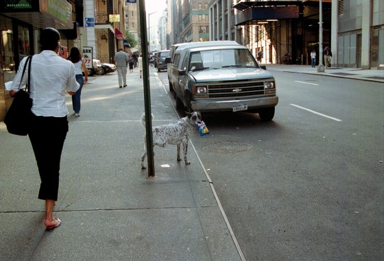 Photo 101 by Roy Caratozzolo for Photo Journalism